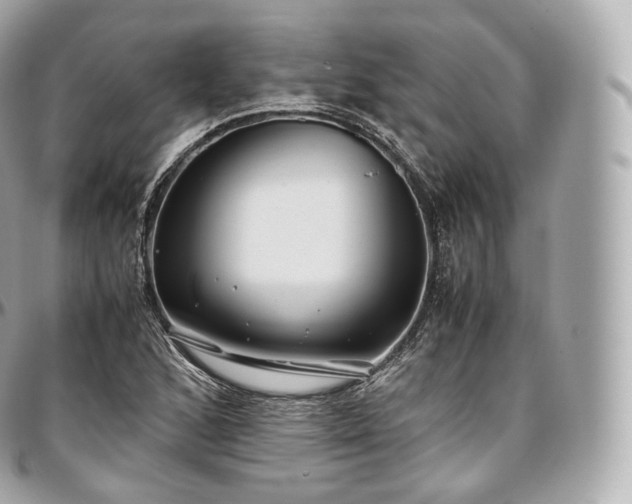 X0000097301168200802221328