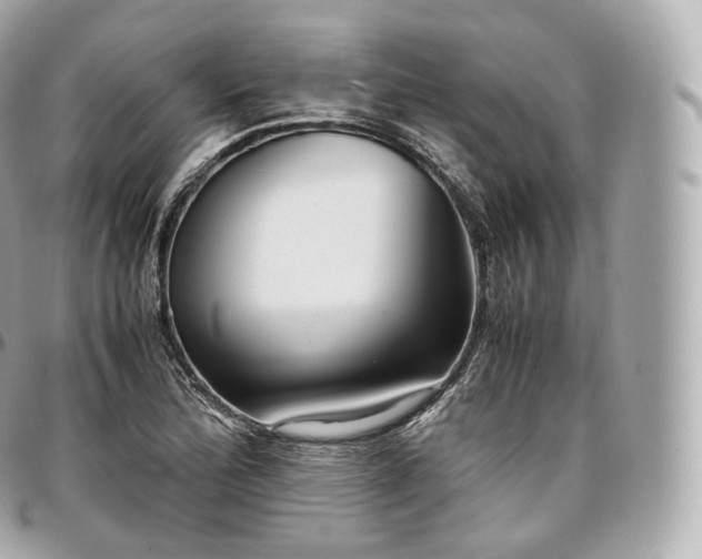 X0000097301172200802221328