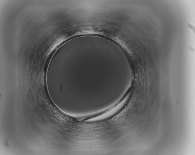 X0000097301173200802221328