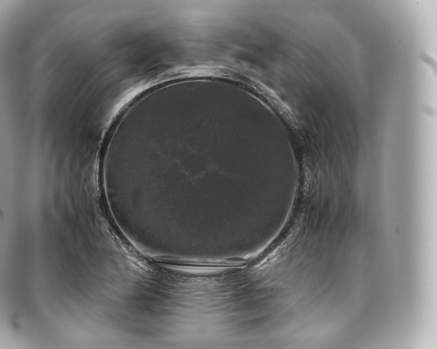 X0000097301174200802221328
