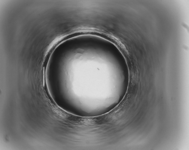 X0000097301175200802221328