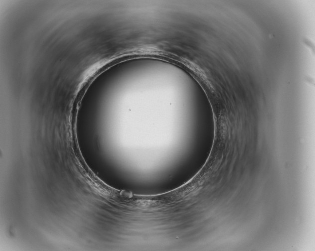 X0000097301176200802221328