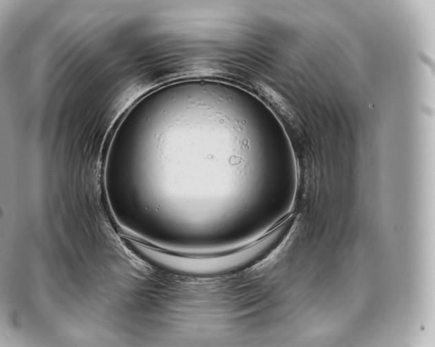 X0000097301178200802221328