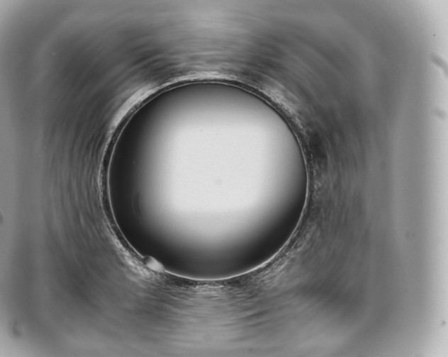 X0000097301181200802221328