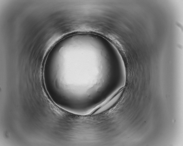 X0000097301183200802221328