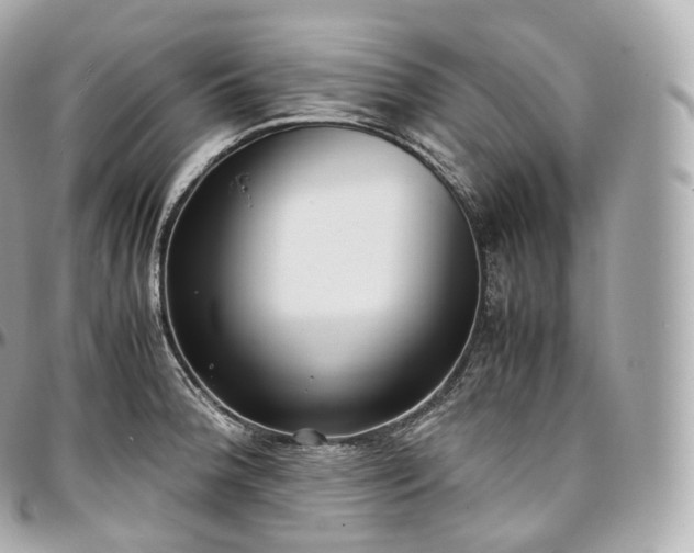 X0000097301188200802221328