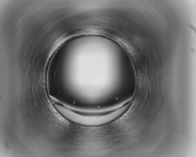 X0000097301192200802221328