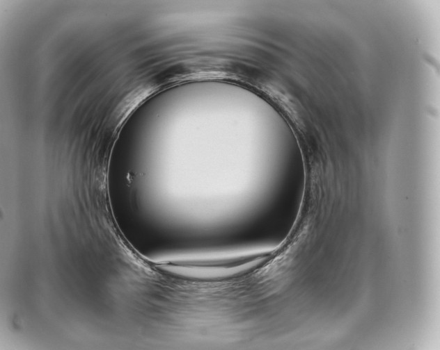 X0000097301193200802221328