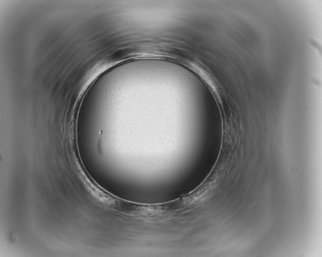 X0000097301195200802221328