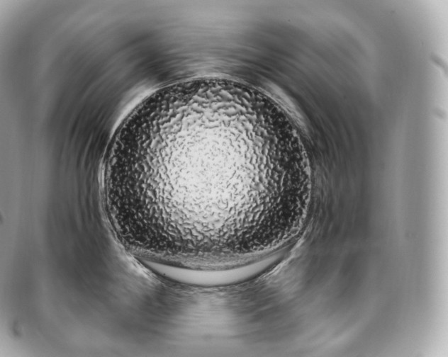 X0000097301198200802221328