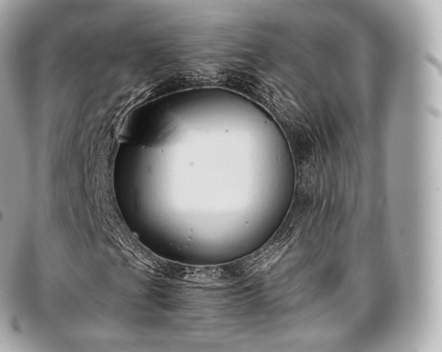 X0000097301201200802221327