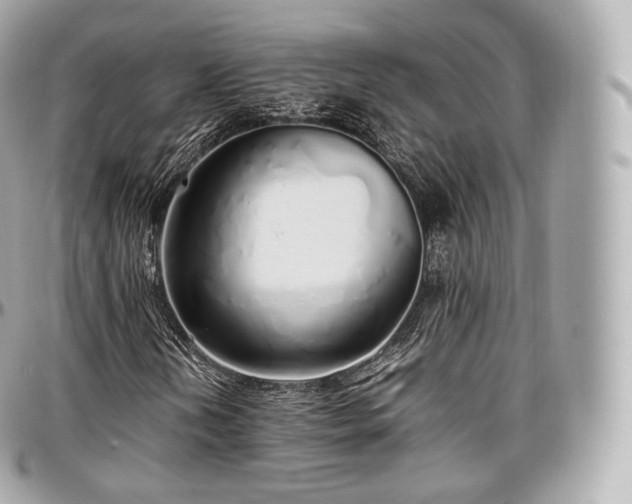 X0000097301202200802221327