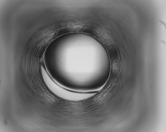 X0000097301204200802221327