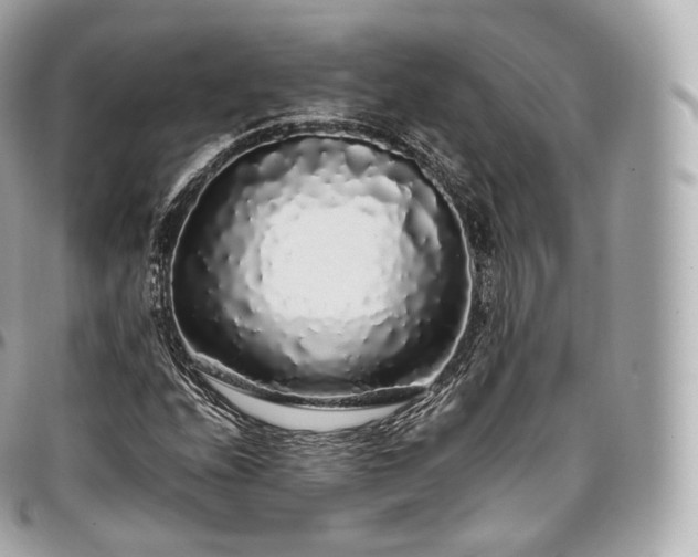 X0000097301208200802221327
