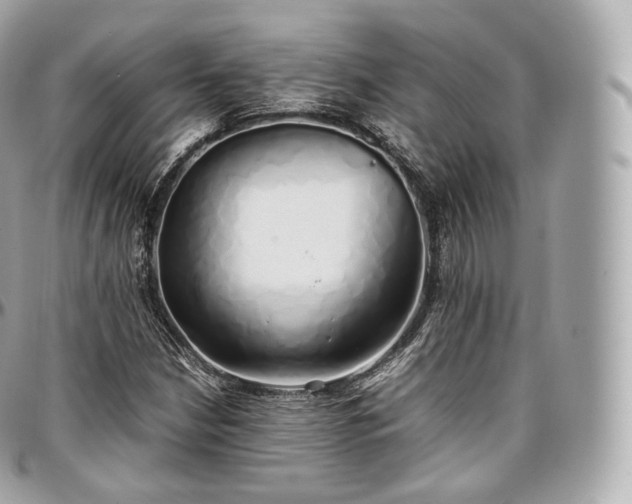 X0000097301210200802221327
