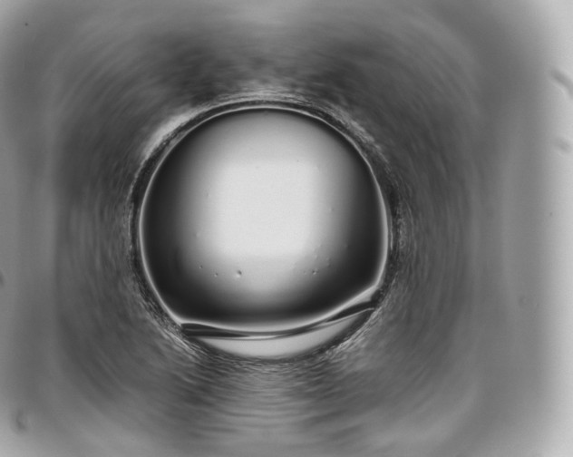 X0000097301222200802221327