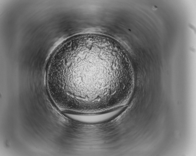 X0000097301224200802221327