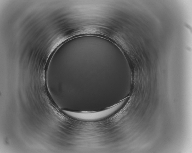 X0000097301226200802221327