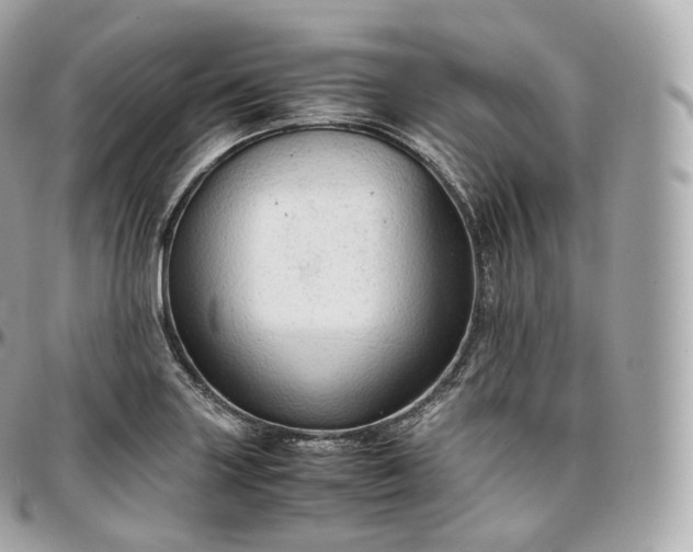 X0000097301227200802221327