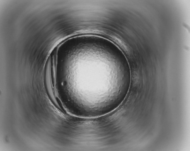 X0000097301228200802221327