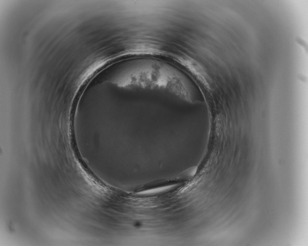 X0000097301229200802221327