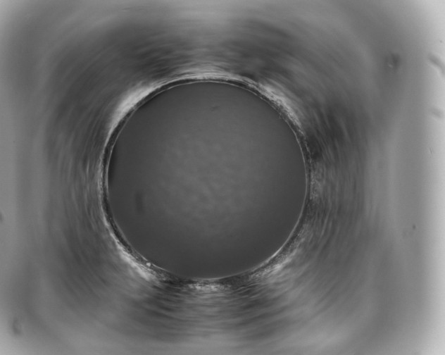 X0000097301231200802221327