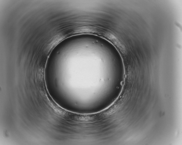 X0000097301233200802221327