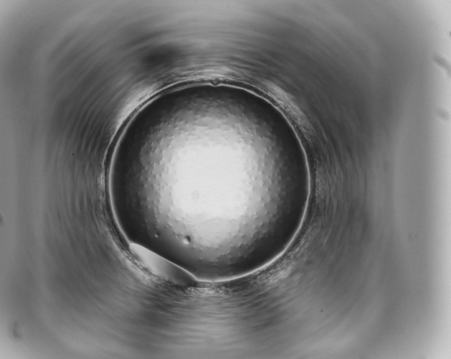 X0000097301234200802221327