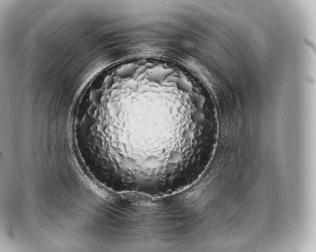 X0000097301235200802221327