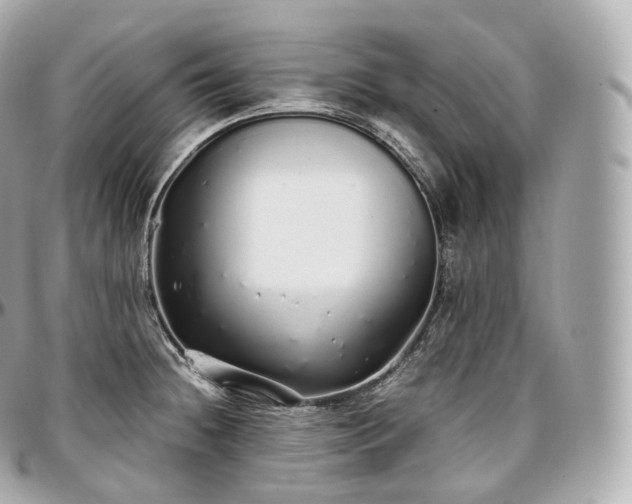 X0000097301236200802221327