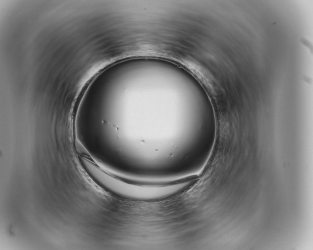 X0000097301238200802221327