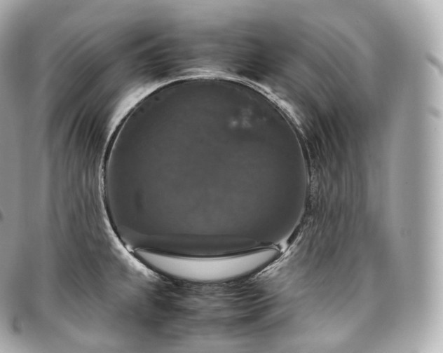 X0000097301239200802221327
