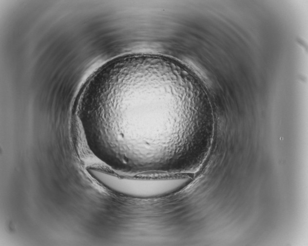 X0000097301240200802221327