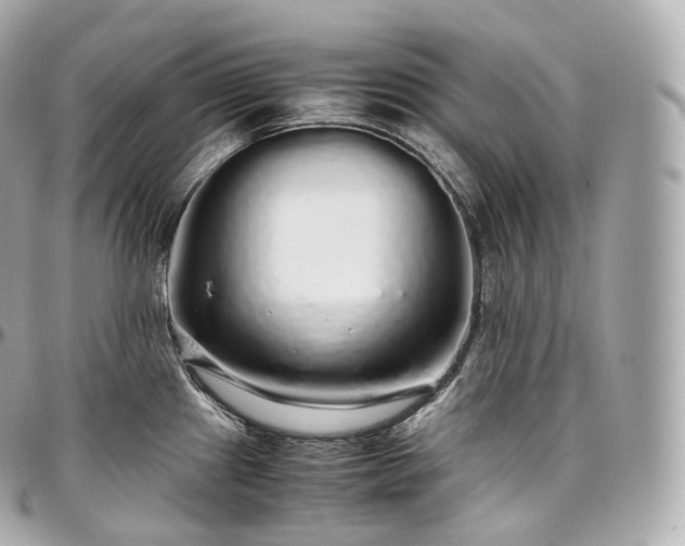 X0000097301241200802221327
