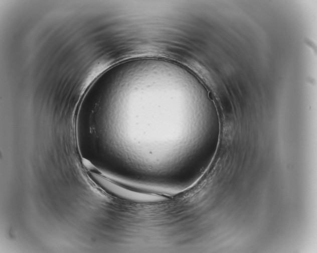 X0000097301242200802221327