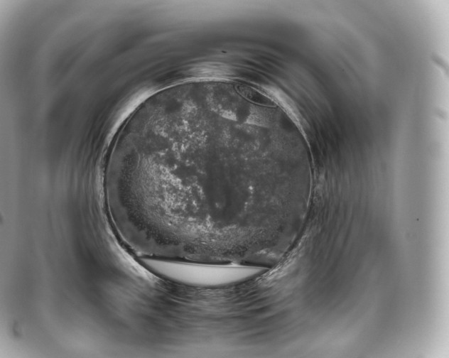 X0000097301243200802221327