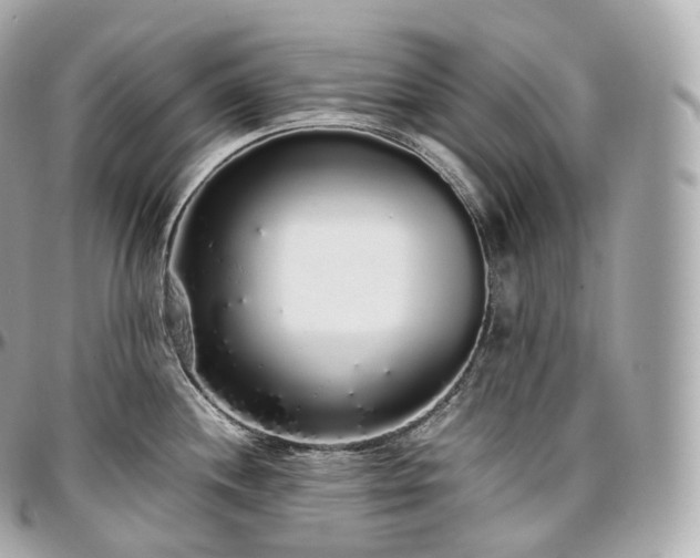 X0000097301244200802221327