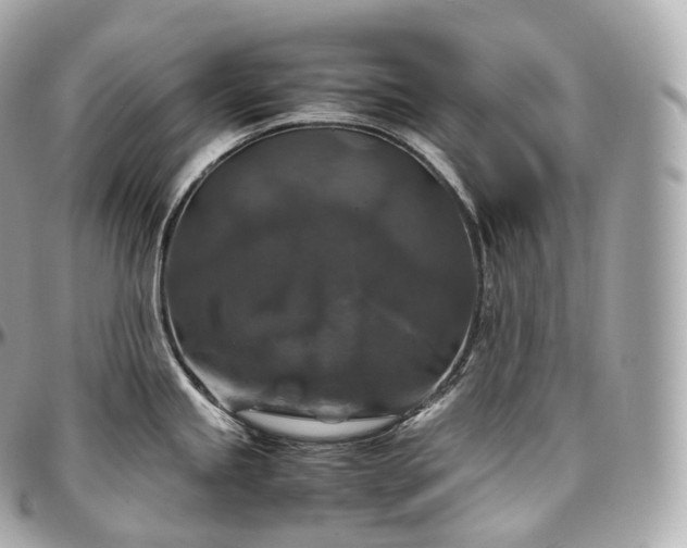 X0000097301245200802221327