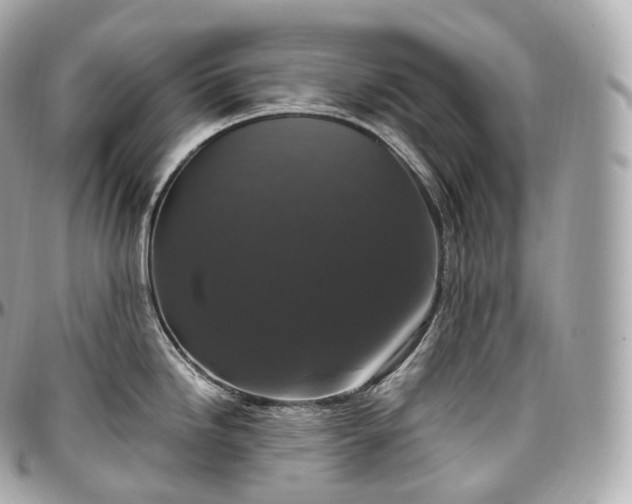 X0000097301246200802221327