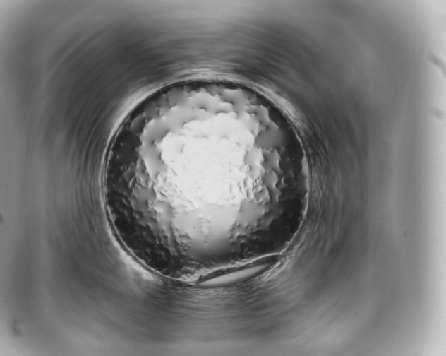 X0000097301247200802221328