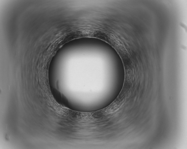 X0000097301249200802221327