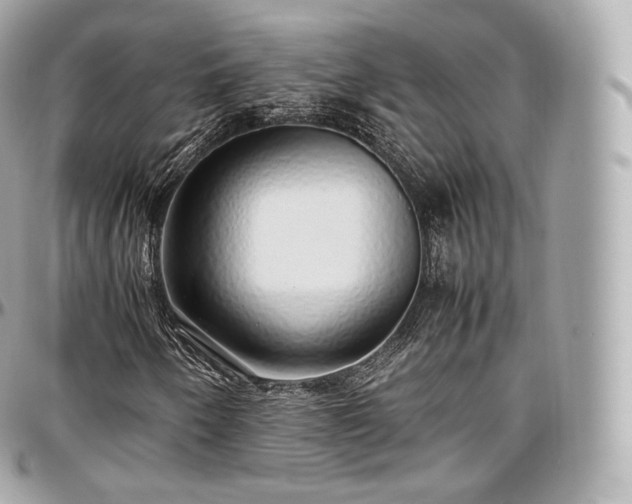 X0000097301250200802221327
