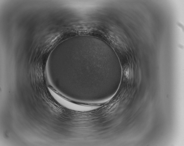 X0000097301252200802221327