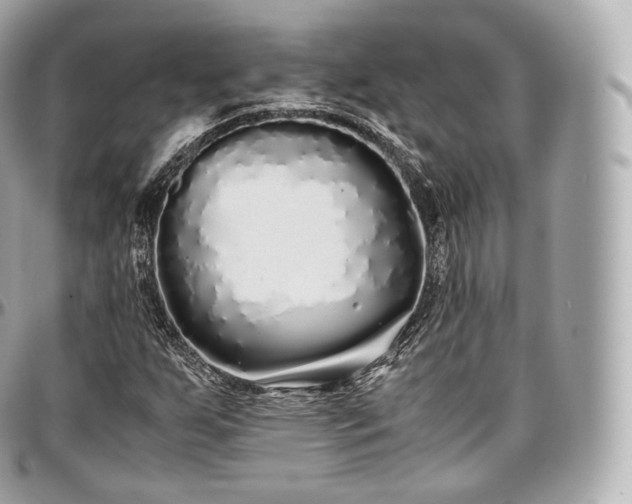 X0000097301255200802221327