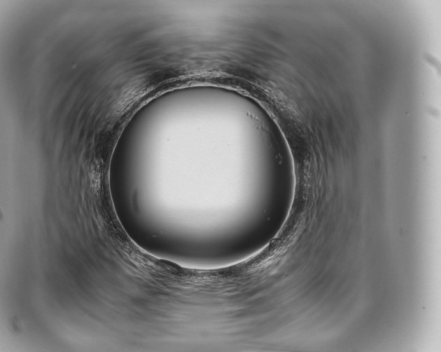 X0000097301257200802221327