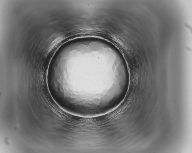 X0000097301259200802221327
