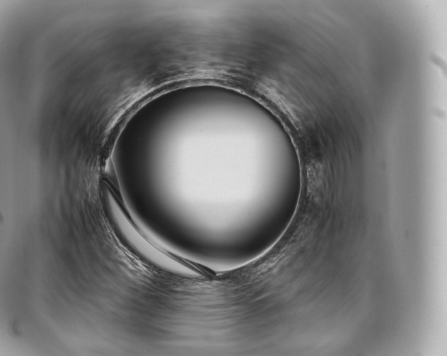 X0000097301260200802221327