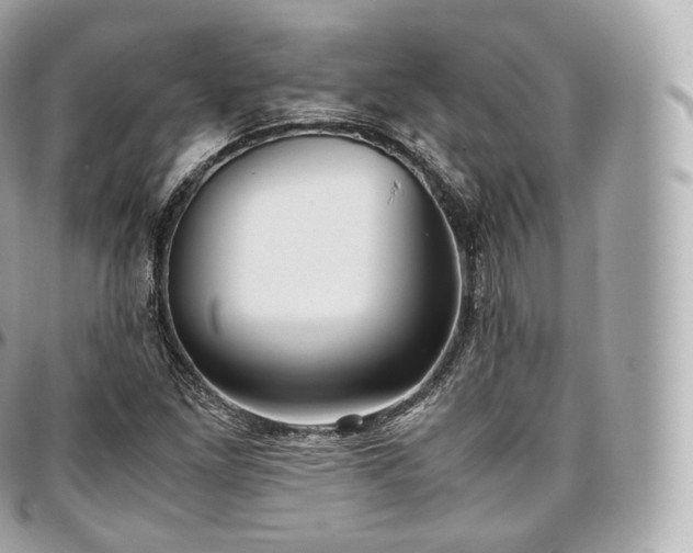 X0000097301261200802221327