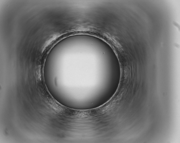 X0000097301262200802221327
