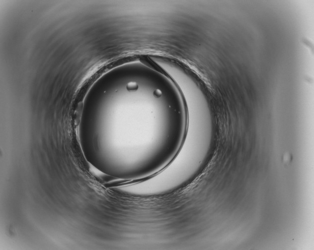 X0000097301266200802221326